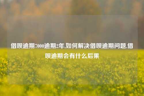 借呗逾期7000逾期2年,如何解决借呗逾期问题,借呗逾期会有什么后果