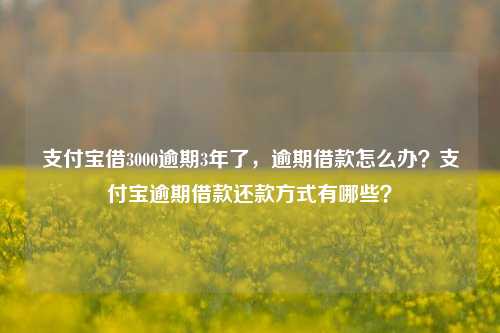 支付宝借3000逾期3年了，逾期借款怎么办？支付宝逾期借款还款方式有哪些？