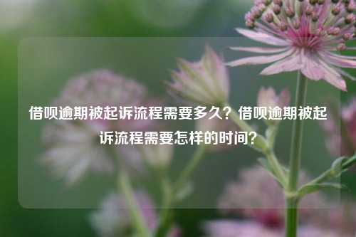 借呗逾期被起诉流程需要多久？借呗逾期被起诉流程需要怎样的时间？