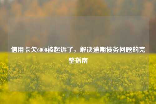 信用卡欠6000被起诉了，解决逾期债务问题的完整指南