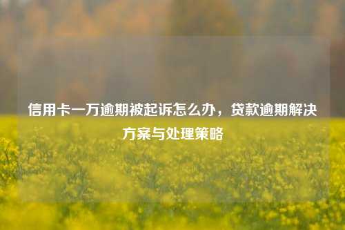 信用卡一万逾期被起诉怎么办，贷款逾期解决方案与处理策略