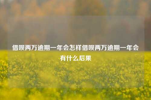 借呗两万逾期一年会怎样借呗两万逾期一年会有什么后果