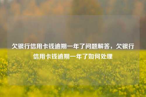 欠银行信用卡钱逾期一年了问题解答，欠银行信用卡钱逾期一年了如何处理