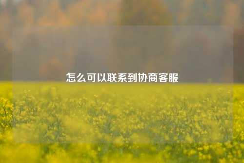 怎么可以联系到协商客服