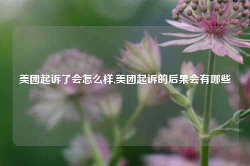 美团起诉了会怎么样,美团起诉的后果会有哪些