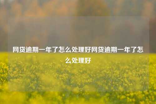 网贷逾期一年了怎么处理好网贷逾期一年了怎么处理好