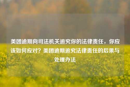 美团逾期向司法机关追究你的法律责任，你应该如何应对？美团逾期追究法律责任的后果与处理办法