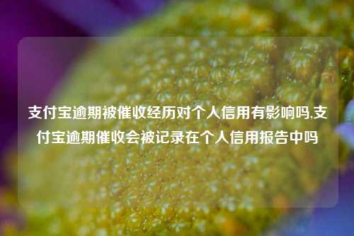 支付宝逾期被催收经历对个人信用有影响吗,支付宝逾期催收会被记录在个人信用报告中吗