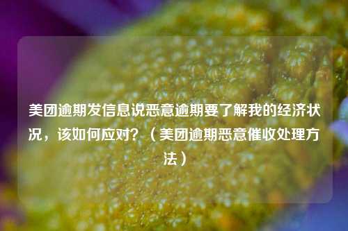 美团逾期发信息说恶意逾期要了解我的经济状况，该如何应对？（美团逾期恶意催收处理方法）