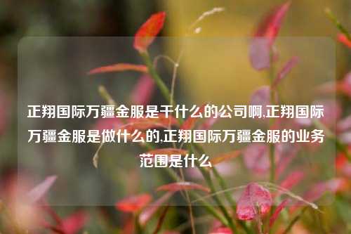 正翔国际万疆金服是干什么的公司啊,正翔国际万疆金服是做什么的,正翔国际万疆金服的业务范围是什么