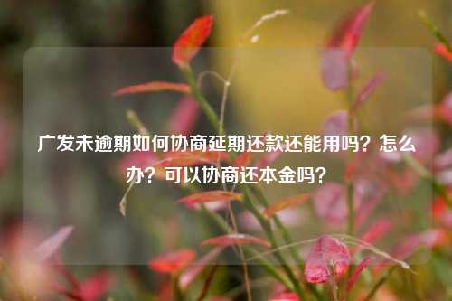 广发未逾期如何协商延期还款还能用吗？怎么办？可以协商还本金吗？