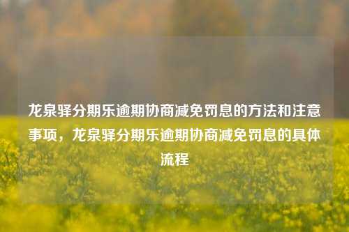 龙泉驿分期乐逾期协商减免罚息的方法和注意事项，龙泉驿分期乐逾期协商减免罚息的具体流程