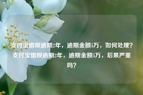 支付宝借呗逾期2年，逾期金额5万，如何处理？支付宝借呗逾期2年，逾期金额5万，后果严重吗？