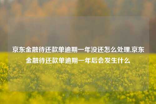 京东金融待还款单逾期一年没还怎么处理,京东金融待还款单逾期一年后会发生什么