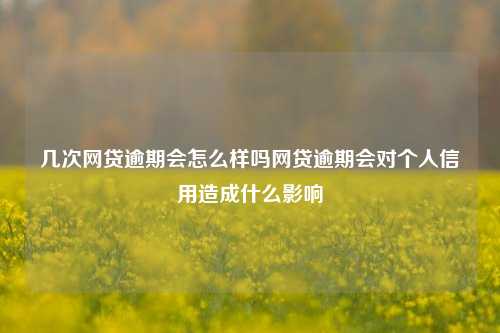 几次网贷逾期会怎么样吗网贷逾期会对个人信用造成什么影响