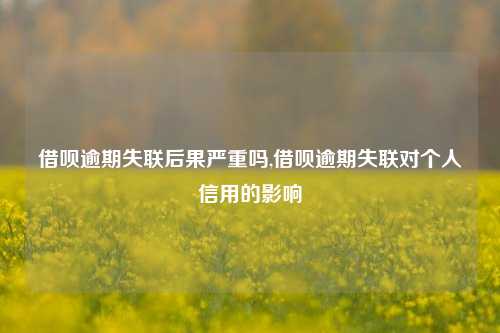 借呗逾期失联后果严重吗,借呗逾期失联对个人信用的影响