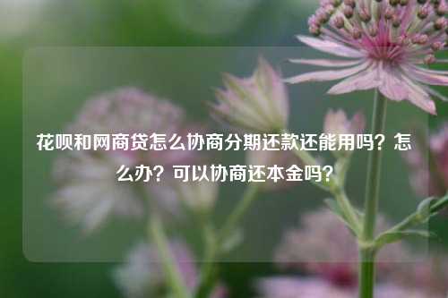 花呗和网商贷怎么协商分期还款还能用吗？怎么办？可以协商还本金吗？