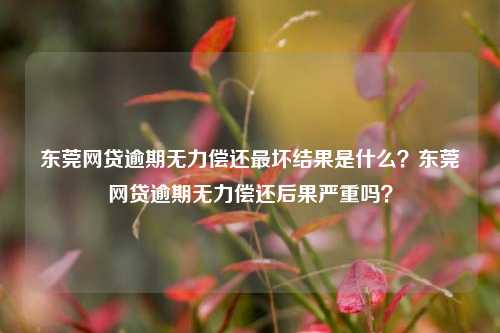 东莞网贷逾期无力偿还最坏结果是什么？东莞网贷逾期无力偿还后果严重吗？