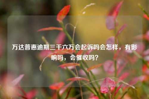 万达普惠逾期三千六万会起诉吗会怎样，有影响吗，会催收吗？