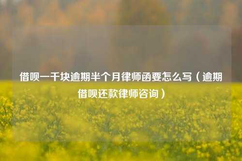 借呗一千块逾期半个月律师函要怎么写（逾期借呗还款律师咨询）