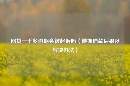 网贷一千多逾期会被起诉吗（逾期借款后果及解决办法）