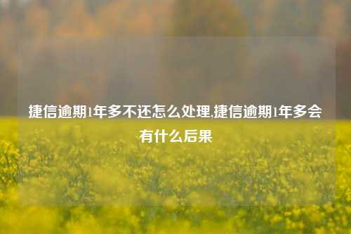 捷信逾期1年多不还怎么处理,捷信逾期1年多会有什么后果