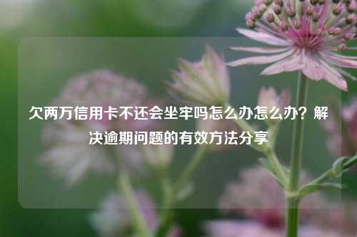 欠两万信用卡不还会坐牢吗怎么办怎么办？解决逾期问题的有效方法分享