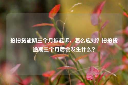 拍拍贷逾期三个月被起诉，怎么应对？拍拍贷逾期三个月后会发生什么？