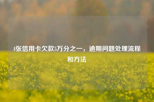 4张信用卡欠款5万分之一，逾期问题处理流程和方法