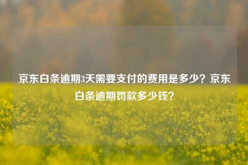 京东白条逾期3天需要支付的费用是多少？京东白条逾期罚款多少钱？