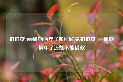 拍拍贷4000逾期俩年了如何解决,拍拍贷4000逾期俩年了还能不能借款