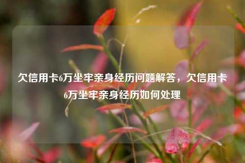 欠信用卡6万坐牢亲身经历问题解答，欠信用卡6万坐牢亲身经历如何处理