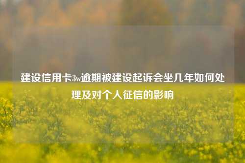 建设信用卡3w逾期被建设起诉会坐几年如何处理及对个人征信的影响