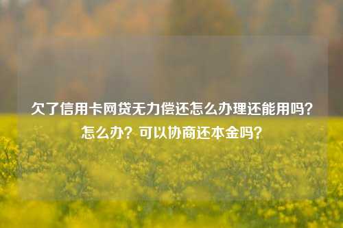 欠了信用卡网贷无力偿还怎么办理还能用吗？怎么办？可以协商还本金吗？