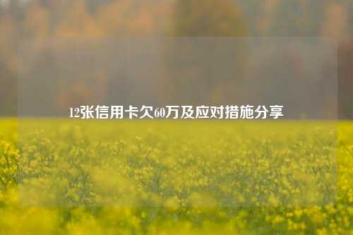 12张信用卡欠60万及应对措施分享