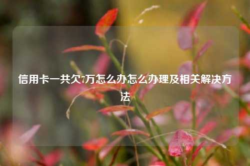 信用卡一共欠7万怎么办怎么办理及相关解决方法