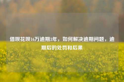 借呗花呗16万逾期3年，如何解决逾期问题，逾期后的处罚和后果