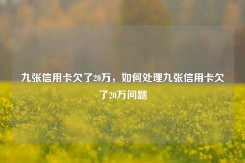 九张信用卡欠了20万，如何处理九张信用卡欠了20万问题