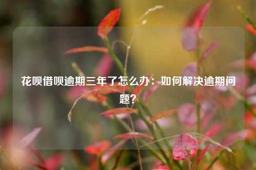 花呗借呗逾期三年了怎么办：如何解决逾期问题？