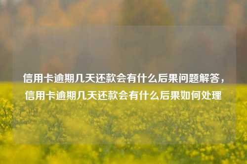 信用卡逾期几天还款会有什么后果问题解答，信用卡逾期几天还款会有什么后果如何处理