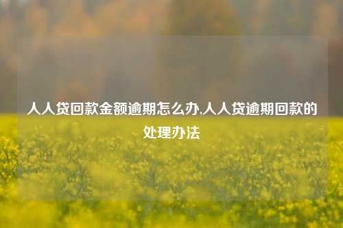 人人贷回款金额逾期怎么办,人人贷逾期回款的处理办法