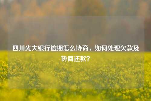 四川光大银行逾期怎么协商，如何处理欠款及协商还款？