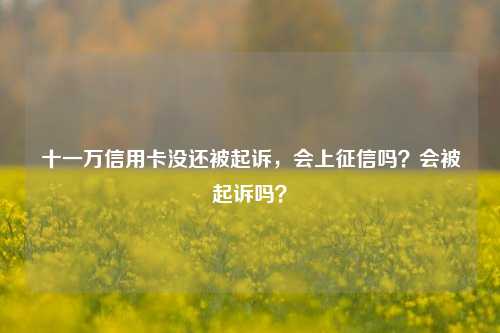 十一万信用卡没还被起诉，会上征信吗？会被起诉吗？