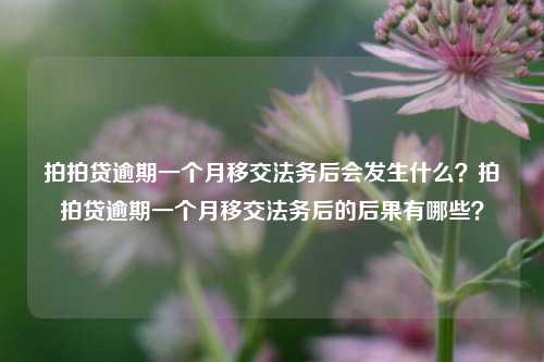 拍拍贷逾期一个月移交法务后会发生什么？拍拍贷逾期一个月移交法务后的后果有哪些？