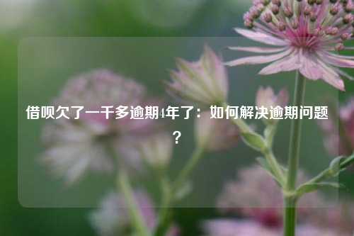 借呗欠了一千多逾期4年了：如何解决逾期问题？