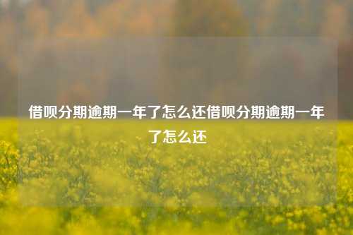 借呗分期逾期一年了怎么还借呗分期逾期一年了怎么还