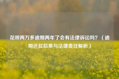 花呗两万多逾期两年了会有法律诉讼吗？（逾期还款后果与法律责任解析）