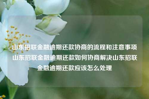 山东招联金融逾期还款协商的流程和注意事项山东招联金融逾期还款如何协商解决山东招联金融逾期还款应该怎么处理