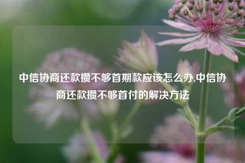 中信协商还款攒不够首期款应该怎么办,中信协商还款攒不够首付的解决方法