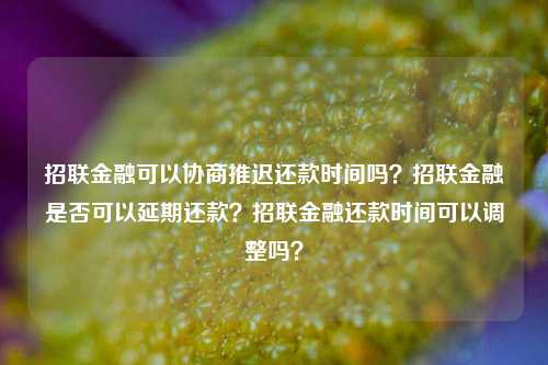 招联金融可以协商推迟还款时间吗？招联金融是否可以延期还款？招联金融还款时间可以调整吗？